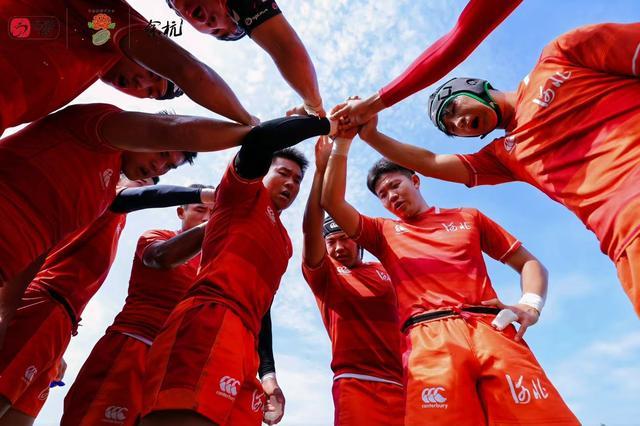 呈现英式橄 呈现英式橄