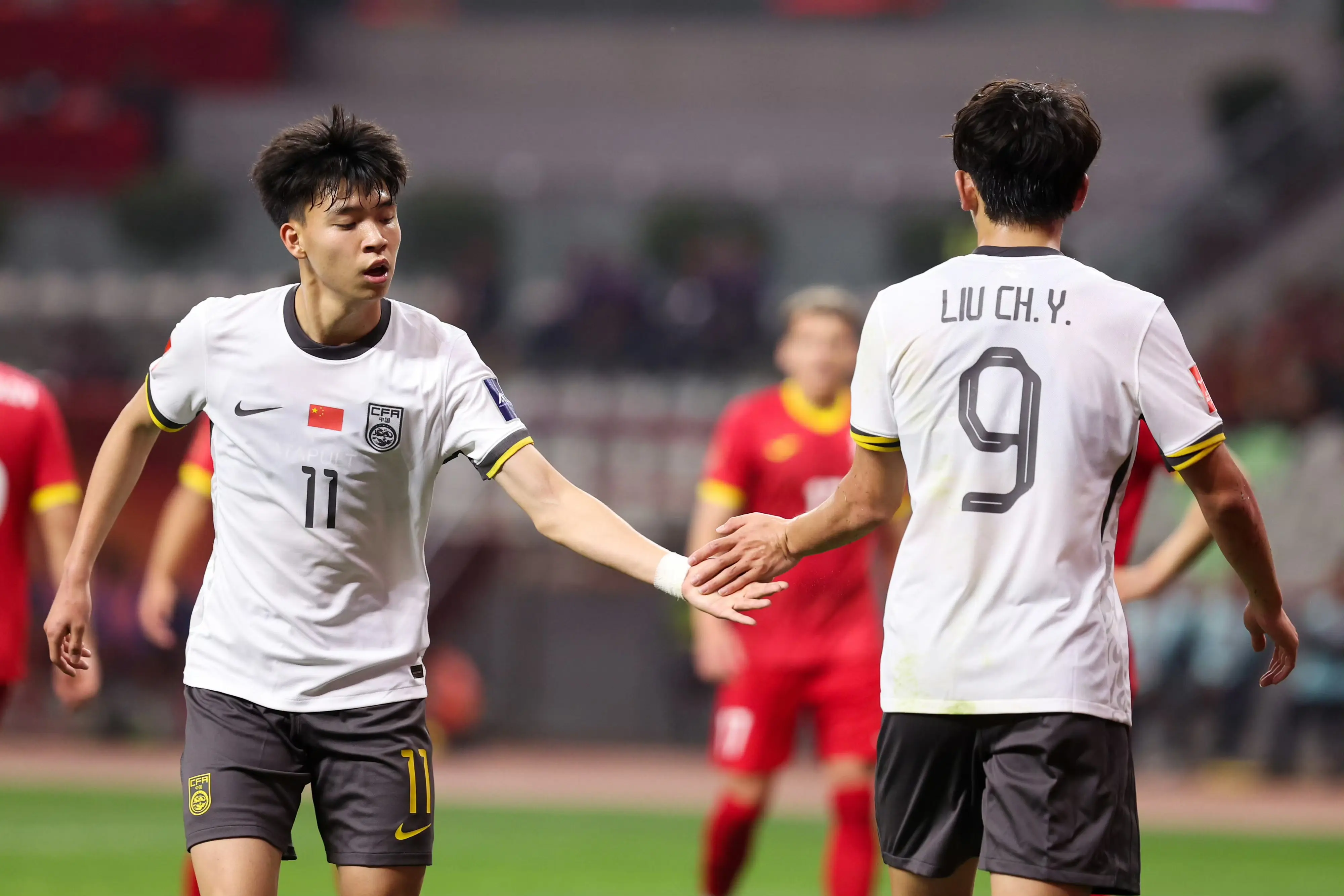 伊万科维奇 伊万科维奇