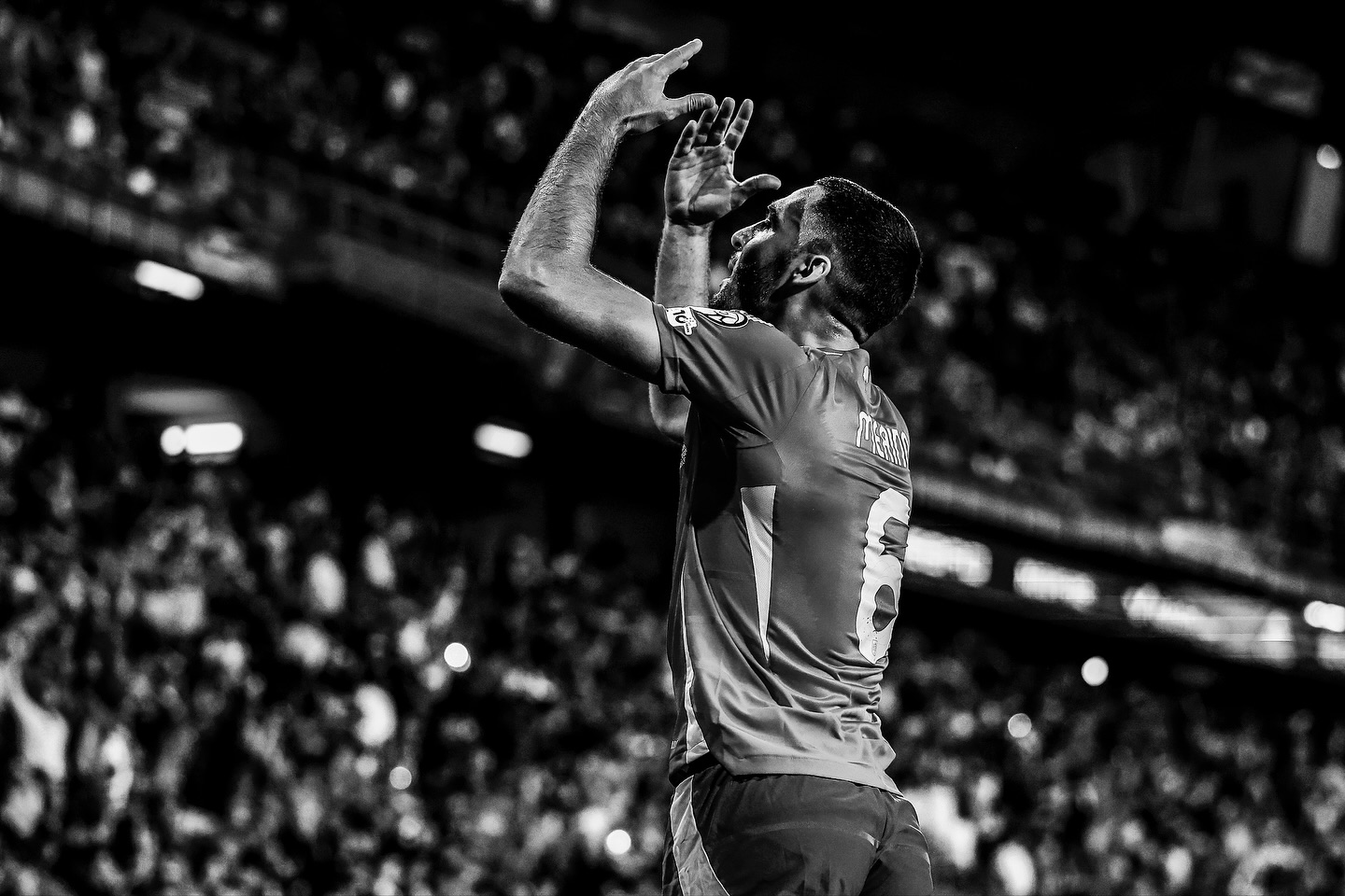 梅里诺赛后, 梅里诺赛后, yid